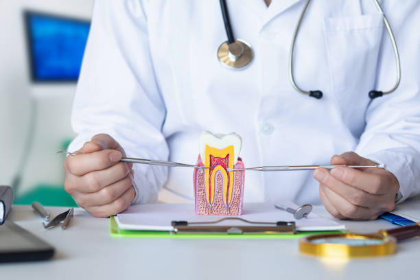 Best Emergency Root Canal Therapy in Kingwood, WV